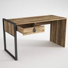 Письменный стол Kalune Design Lost, коричневый цена и информация | Компьютерные, письменные столы | hansapost.ee