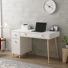Письменный стол Kalune Design 382, светло-коричневый/белый цена и информация | Детские письменные столы | hansapost.ee