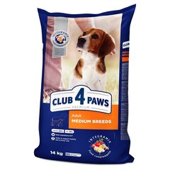 CLUB 4 PAWS Premium полнорационный сухой корм для взрослых собак средних пород , 14 кг цена и информация | Сухой корм для собак | hansapost.ee