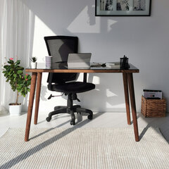 Письменный стол Kalune Design Cozy, коричневый цена и информация | Компьютерные, письменные столы | hansapost.ee