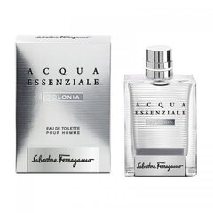 Meeste parfüüm Acqua Essenziale Salvatore Ferragamo EDT (100 ml): Maht - 100 ml цена и информация | Мужские духи | hansapost.ee