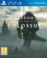 Shadow of the Colossus PS4 цена и информация | Компьютерные игры | hansapost.ee