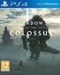 Shadow of the Colossus PS4 цена и информация | Konsooli- ja arvutimängud | hansapost.ee