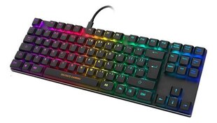 Deltaco Gaming DK420 TKL цена и информация | Клавиатура с игровой мышью 3GO COMBODRILEW2 USB ES | hansapost.ee