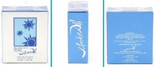 Parfüümvesi Salvador Dali Black Sun sport EDT meestele 30 ml hind ja info | Salvador Dali Parfüümid, lõhnad ja kosmeetika | hansapost.ee