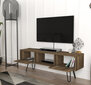 TV-laud Kalune Design 756, pruun цена и информация | Televiisori alused | hansapost.ee