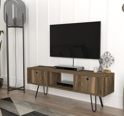 ТВ столик Kalune Design 756, коричневый цена и информация | Тумбы под телевизор | hansapost.ee