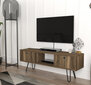 TV-laud Kalune Design 756, pruun hind ja info | Televiisori alused | hansapost.ee