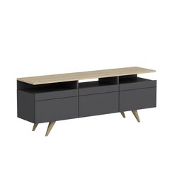 ТВ столик Kalune Design 382 150 см, серый цена и информация | Тумбы под телевизор | hansapost.ee