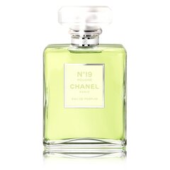 Chanel No. 19 Poudre EDP naistele 100 ml hind ja info | Parfüümid naistele | hansapost.ee