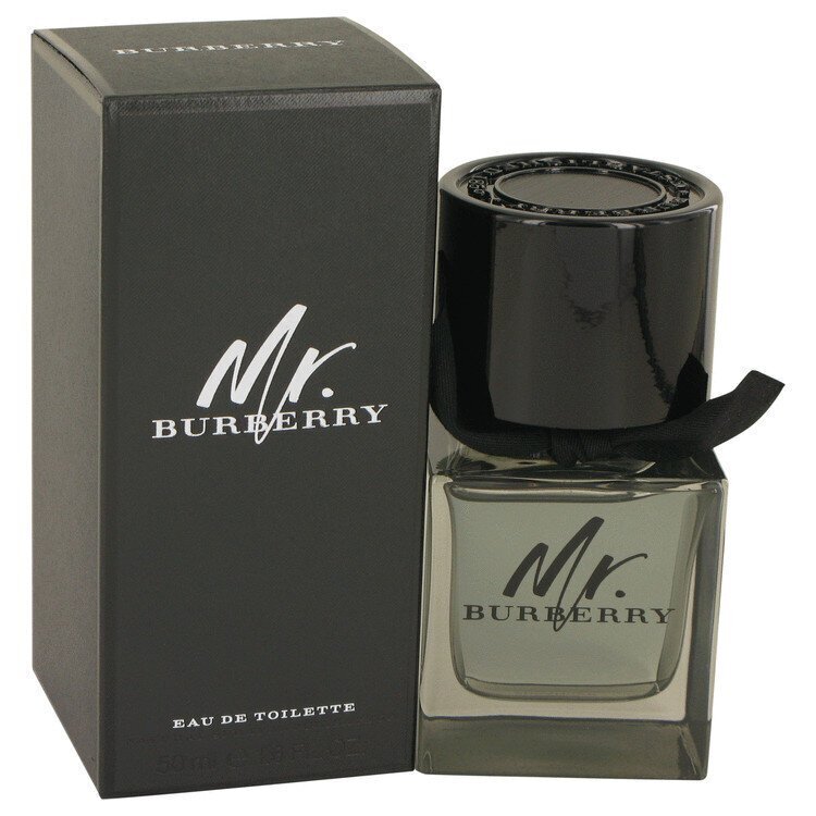 Burberry Mr. Burberry EDT meestele 50 ml цена и информация | Parfüümid meestele | hansapost.ee