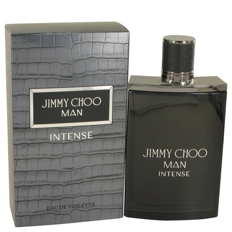 Jimmy Choo Jimmy Choo Man Intense EDT meestele, 100 ml цена и информация | Parfüümid meestele | hansapost.ee