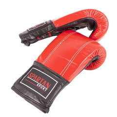 Боксерские перчатки Spartan Trenink цена и информация | Бокс | hansapost.ee