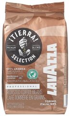 Кофе в зернах Lavazza Tierra Selection, 1кг цена и информация | Кофе, какао | hansapost.ee