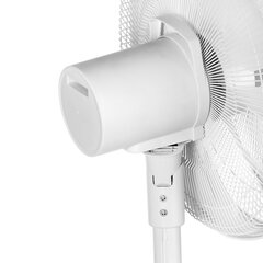 Ventilaator Activejet WSS-100BPL hind ja info | Ventilaatorid | hansapost.ee