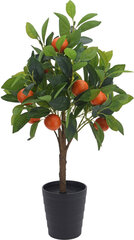 Kunsttaim Apelsinipuu, 70 cm hind ja info | Sisustuselemendid | hansapost.ee