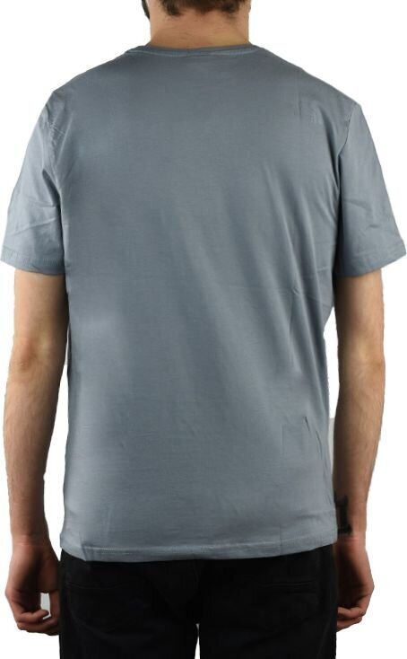 Meeste T-särk The North Face Simple Dome Tee TX5ZDK1, hall hind ja info | T-särgid meestele | hansapost.ee