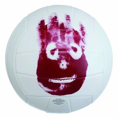 Võrkpalli pall Wilson Castaway price and information | Volleyball balls | hansapost.ee