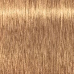 Juuksevärv Schwarzkopf Igora Royal Absolutes 9.50 60 ml price and information | Hair dyes | hansapost.ee