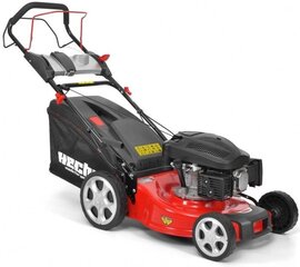 Iseliikuv muruniiduk Hecht 546 SX price and information | Lawnmowers | hansapost.ee