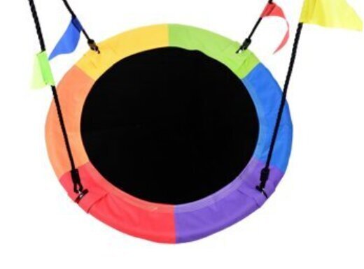 Pesakiik Funfit Garden, 100 cm, 150 kg, Multicolor hind ja info | Laste kiiged | hansapost.ee