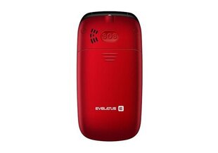 Evelatus Wave 2020 Dual SIM Maroon Red цена и информация | Мобильные телефоны | hansapost.ee