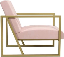 Кресло CosmoLiving by Cosmopolitan Lexington, розовое цена и информация | Уличные кресла | hansapost.ee