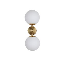 Light Prestige настенный светильник Dorado 2 цена и информация | Настенные светильники | hansapost.ee