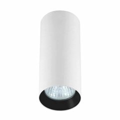 Light Prestige потолочный светильник Manacor цена и информация | Потолочные светильники | hansapost.ee
