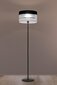Lampex põrandalamp Nemia hind ja info | Põrandalambid | hansapost.ee