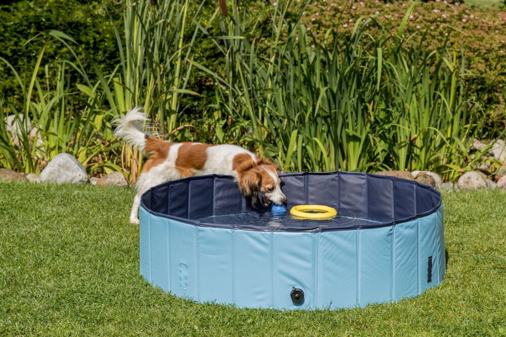 Trixie kokkupandav bassein koertele, 80x20 cm, sinine hind ja info | Hooldus/grooming | hansapost.ee