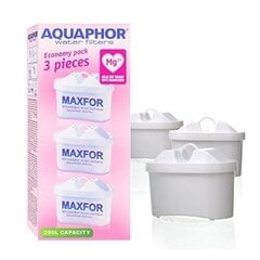 Aquaphor B100-25 Maxfor hind ja info | Veefilterkannud ja veefiltrid | hansapost.ee