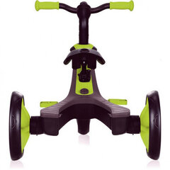 Kolmerattaline jalgratas Globber Explorer Trike 2in1, roheline, 630-106 hind ja info | Globber Lastekaubad ja beebikaubad | hansapost.ee