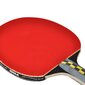 Lauatennise reket Ping pong racket Joola Carbon Pro цена и информация | Pingpongi/lautennise reketid ja reketi kotid | hansapost.ee