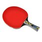 Lauatennise reket Ping pong racket Joola Carbon Pro цена и информация | Pingpongi/lautennise reketid ja reketi kotid | hansapost.ee