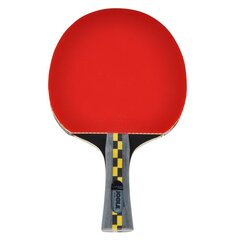 Lauatennise reket Ping pong racket Joola Carbon Pro hind ja info | Pingpongi/lautennise reketid ja reketi kotid | hansapost.ee