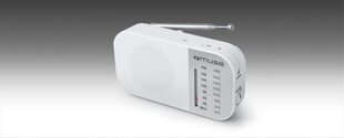Muse M-025RW цена и информация | Радиоприемники и будильники | hansapost.ee