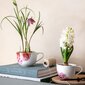 Villeroy & Boch kohvitass 0,45l Rose Garden цена и информация | Klaasid, kruusid ja kannud | hansapost.ee