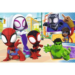 Пазл Puzzle 24 maxi Spiday and friends Spiderman цена и информация | Пазлы | hansapost.ee
