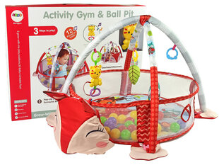 Õppematt beebile 3 in 1 price and information | Developmental activity mats | hansapost.ee