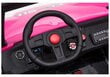 Kahekohaline laste elektriauto SX1928 4x4 24V, roosa цена и информация | Laste elektriautod | hansapost.ee
