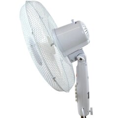 Ventilaator Esperanza EHF001WW, 50W valge hind ja info | Ventilaatorid | hansapost.ee