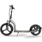 Elektritõukeratas Beaster Scooter VOYAGER, 350 W, 36 V, 10 Ah, 25 km / h цена и информация | Elektritõukerattad | hansapost.ee