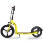 Elektritõukeratas Beaster Scooter VOYAGER, 350 W, 36 V, 10 Ah, 25 km / h hind ja info | Elektritõukerattad | hansapost.ee