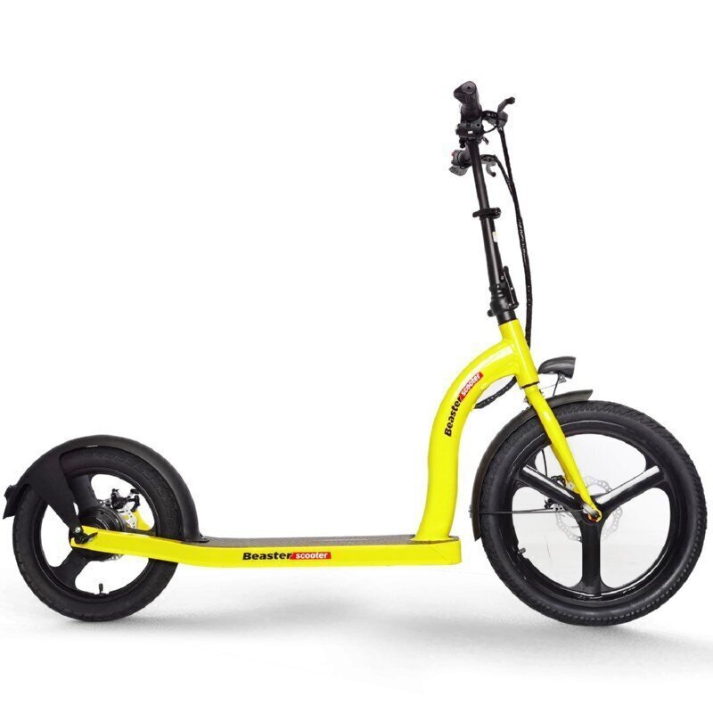 Elektritõukeratas Beaster Scooter VOYAGER, 350 W, 36 V, 10 Ah, 25 km / h цена и информация | Elektritõukerattad | hansapost.ee