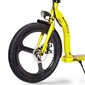 Elektritõukeratas Beaster Scooter VOYAGER, 350 W, 36 V, 10 Ah, 25 km / h hind ja info | Elektritõukerattad | hansapost.ee