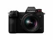 Panasonic Lumix DC-S1 + Lumix S 20-60 mm F3.5-5.6 (S-R2060) цена и информация | Fotoaparaadid | hansapost.ee