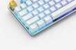 Glorious PC Gaming Race GMMK TKL White Ice Edition Gateron Brown hind ja info | Klaviatuurid | hansapost.ee