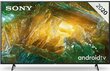 Sony KE65XH8096BAEP цена и информация | Televiisorid | hansapost.ee