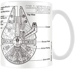 Star Wars Millennium Falconi joonisega kruus hind ja info | Klaasid, kruusid ja kannud | hansapost.ee